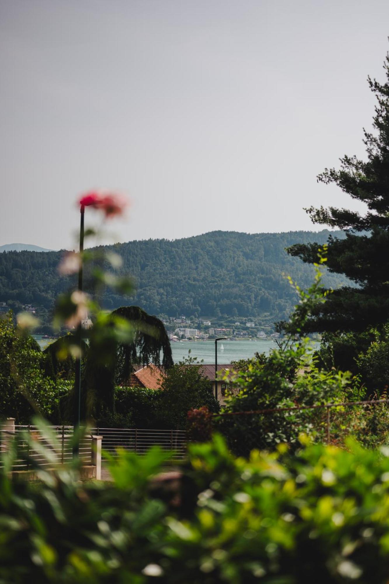 Die Labsalerie - Urlauben Am Woerthersee Pörtschach am Wörthersee Buitenkant foto